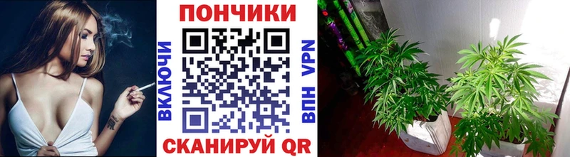 Купить закладку МАРИХУАНА  Меф  Alpha-PVP  АМФ  Гашиш  Железноводск