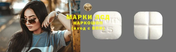 соль ск Володарск