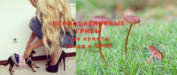 дурь Верхний Тагил