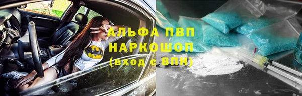 соль ск Волосово