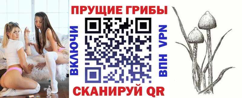Псилоцибиновые грибы Cubensis  Купить закладки  Железноводск 