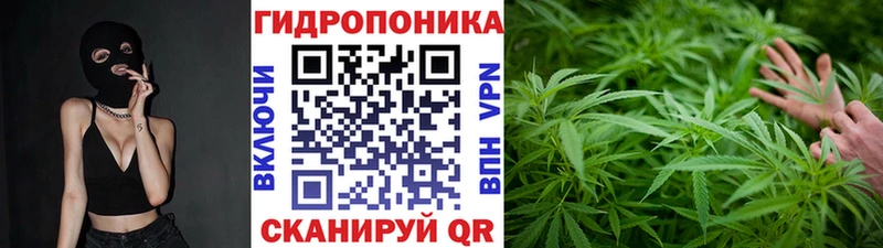 Конопля конопля Купить закладки Железноводск